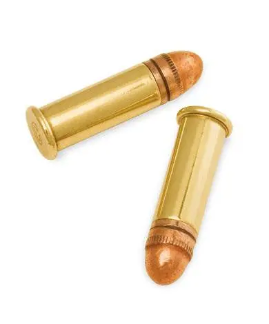 .22 Long Rifle Hv Ammunition – 29-Grain Copper-Plated Round Nose, 100-Round Box 1