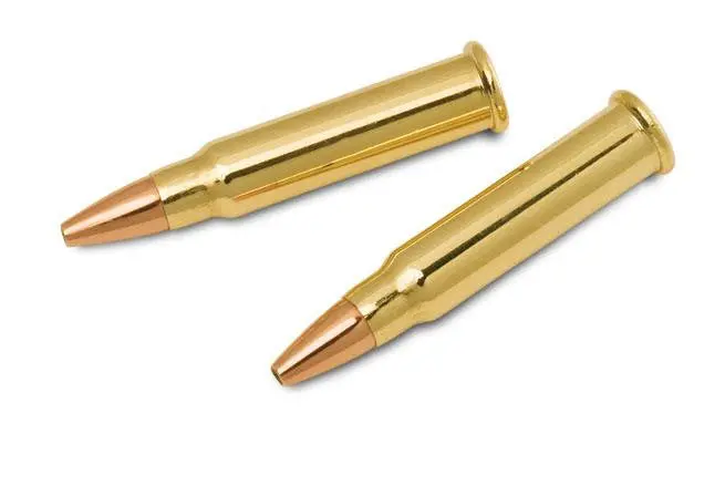 Hornady .17 Hmr Game Point Ammunition – 20-Grain Jacketed Soft Point, 50-Round Box 1