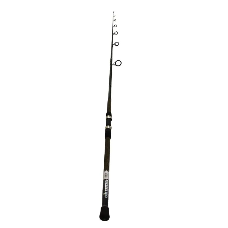 Longitude Surf Spinning Rod – 9-Foot Heavy Power, Two-Piece Design For Coastal Fishing 1