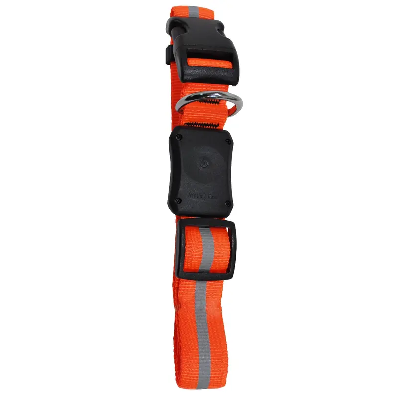 Nite Dawg Led Illuminated Dog Collar – Large, Orange Light 1