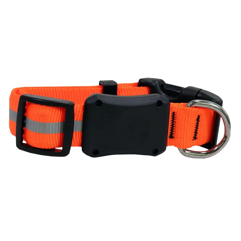 Nite Dawg Led Illuminated Dog Collar – Small, Orange Light 1