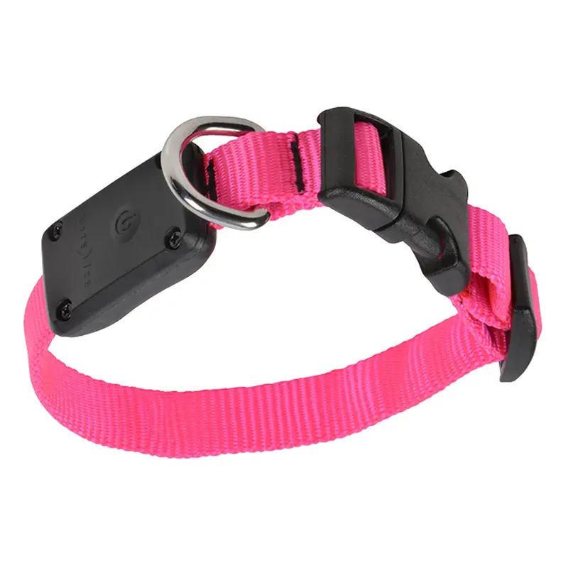 Nite Dawg Led Illuminated Dog Collar – Xs Size, Neon Pink Glow 1