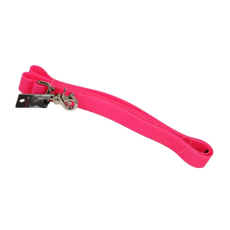 Wsp All-Weather Dog Leash – 48" X 1", Vibrant Pink Durable Nylon 1